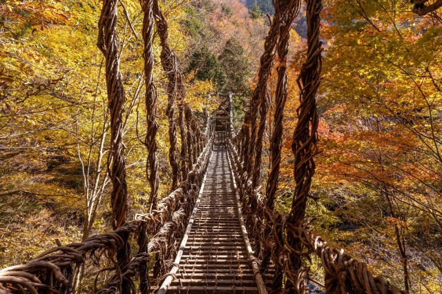 卑近な幸福の尊さゆえに
