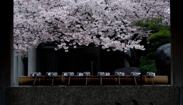 我思うゆえに我・・・アリ？